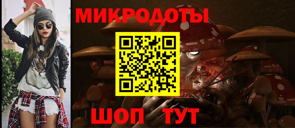 Псилоцибиновые грибы мицелий Большой Камень